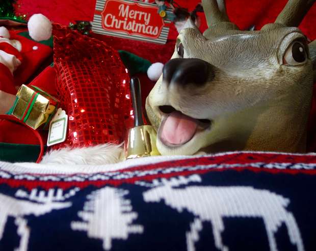 christmas photo booth